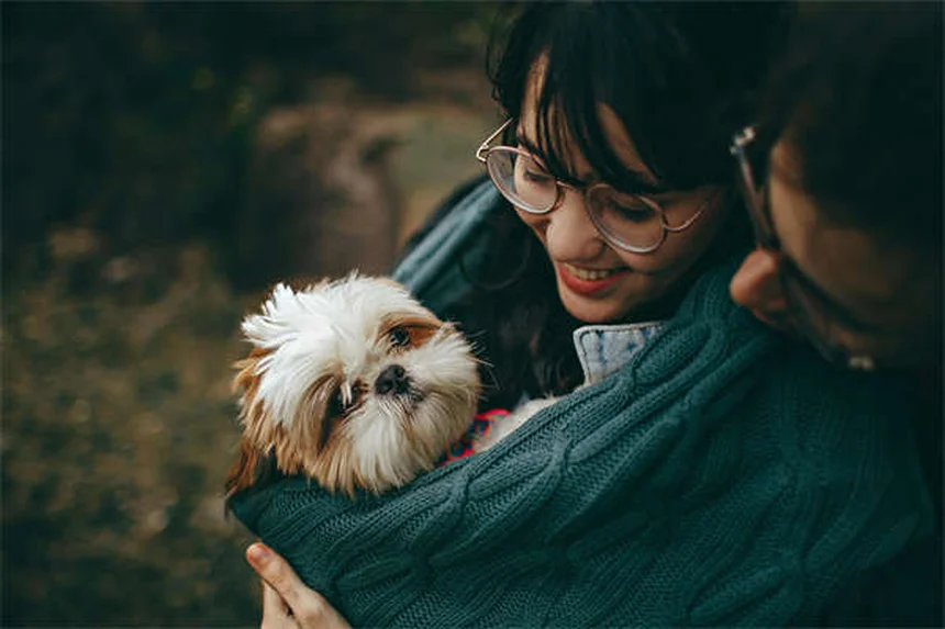 고양이 만성 설사 원인과 치료법 (집에서 확인하는 법)